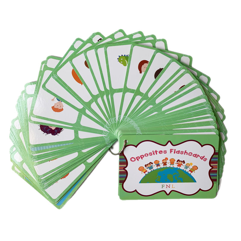 The 100 Groups Opposites Flash - đánh giá và giá Board Game Education