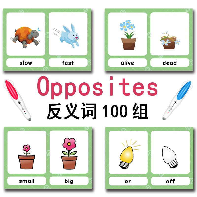 The 100 Groups Opposites Flash - đánh giá và giá Board Game Education